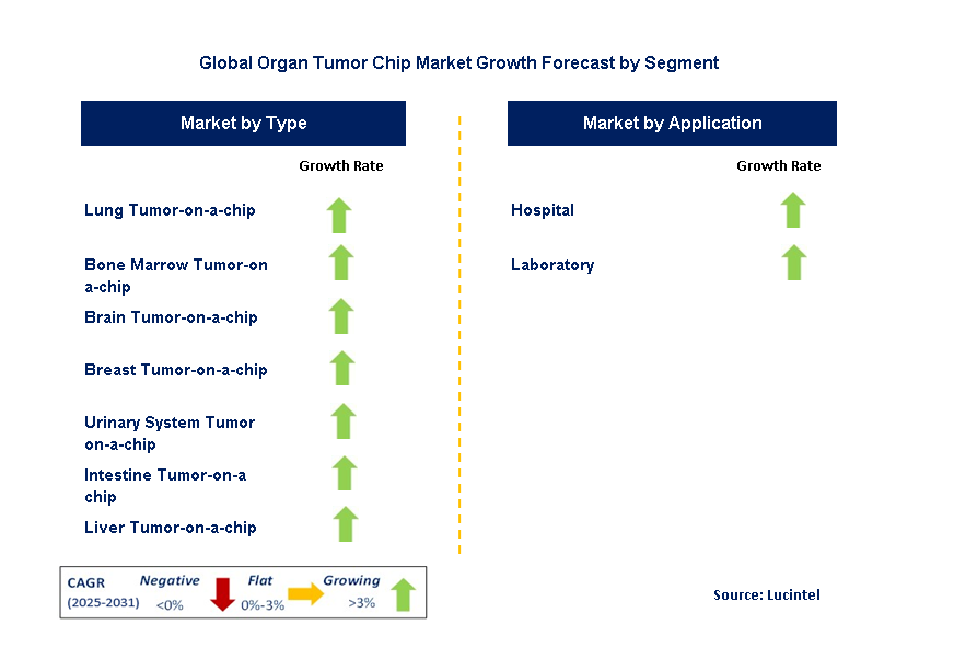 Organ Tumor Chip Market by Segment